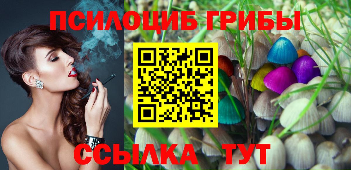 Красноперекопск  закладки  Вход с VPN  Псилоцибиновые грибы GOLDEN TEACHER 